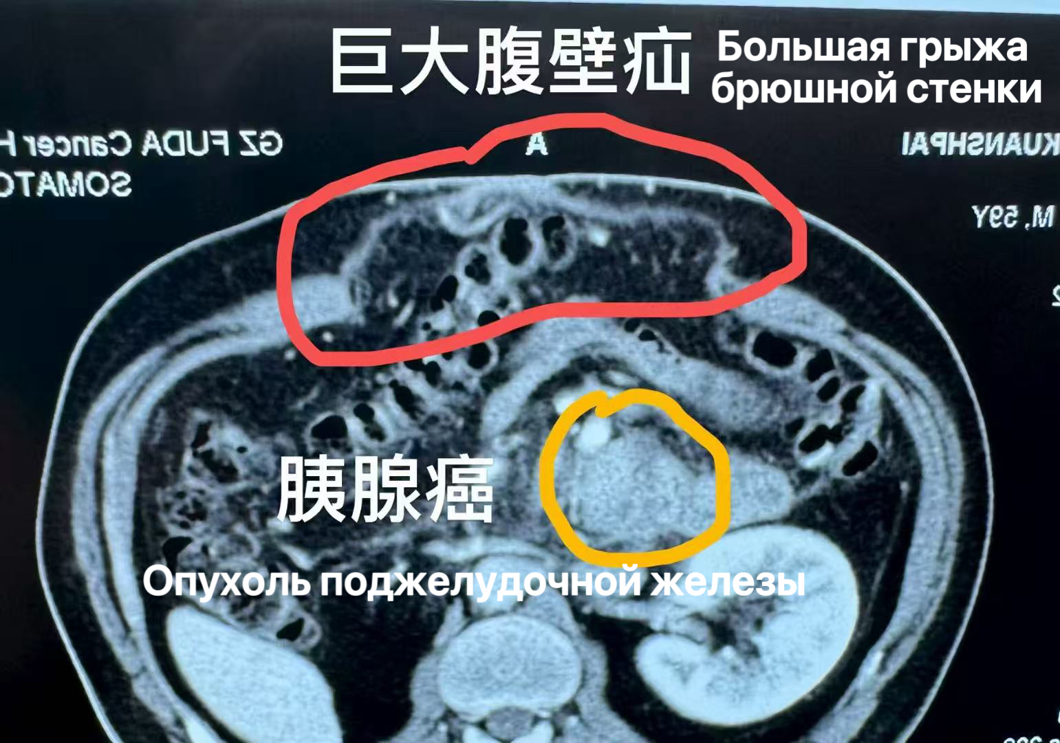 fuda27_529819.jpg fuda27_529819.jpg