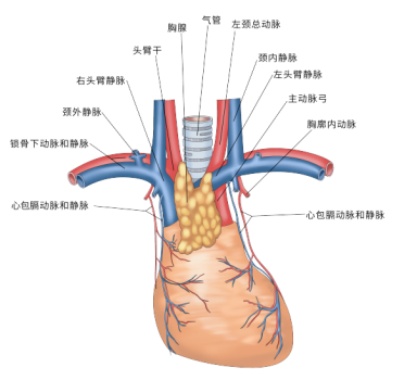 fuda16_354240.png image.png